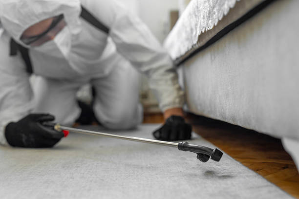 Professional Bed Bug Control technician working in Calvert, TX